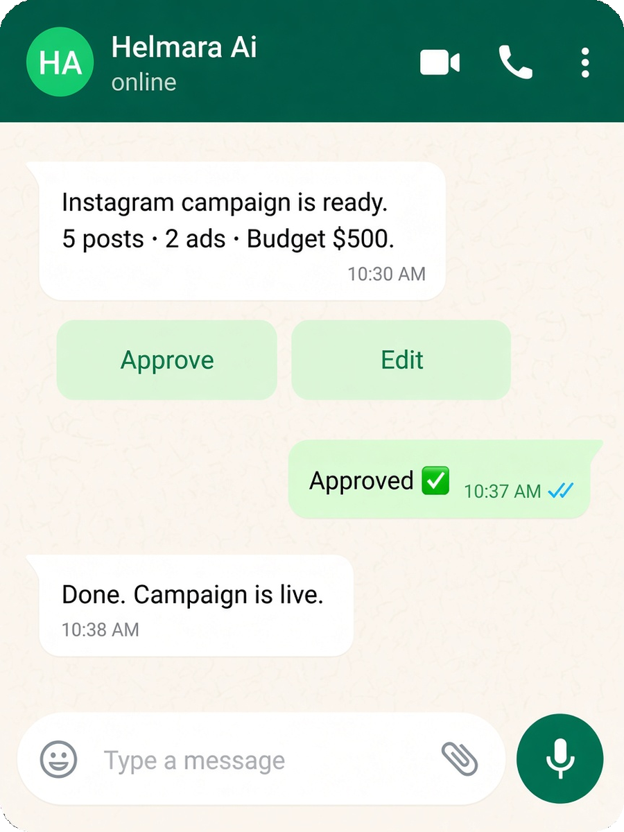 WhatsApp: campaign ready for approval